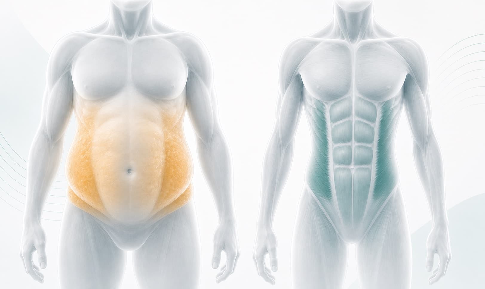 Weight Loss medical service graphic